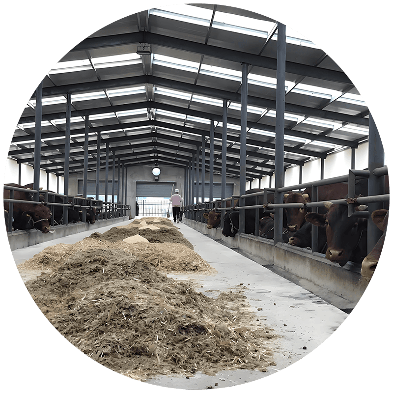 Liaocheng Beike New Materials Recognized as a High-Tech Enterprise, Further Recognizing its Technological Innovation Strength — photo 5