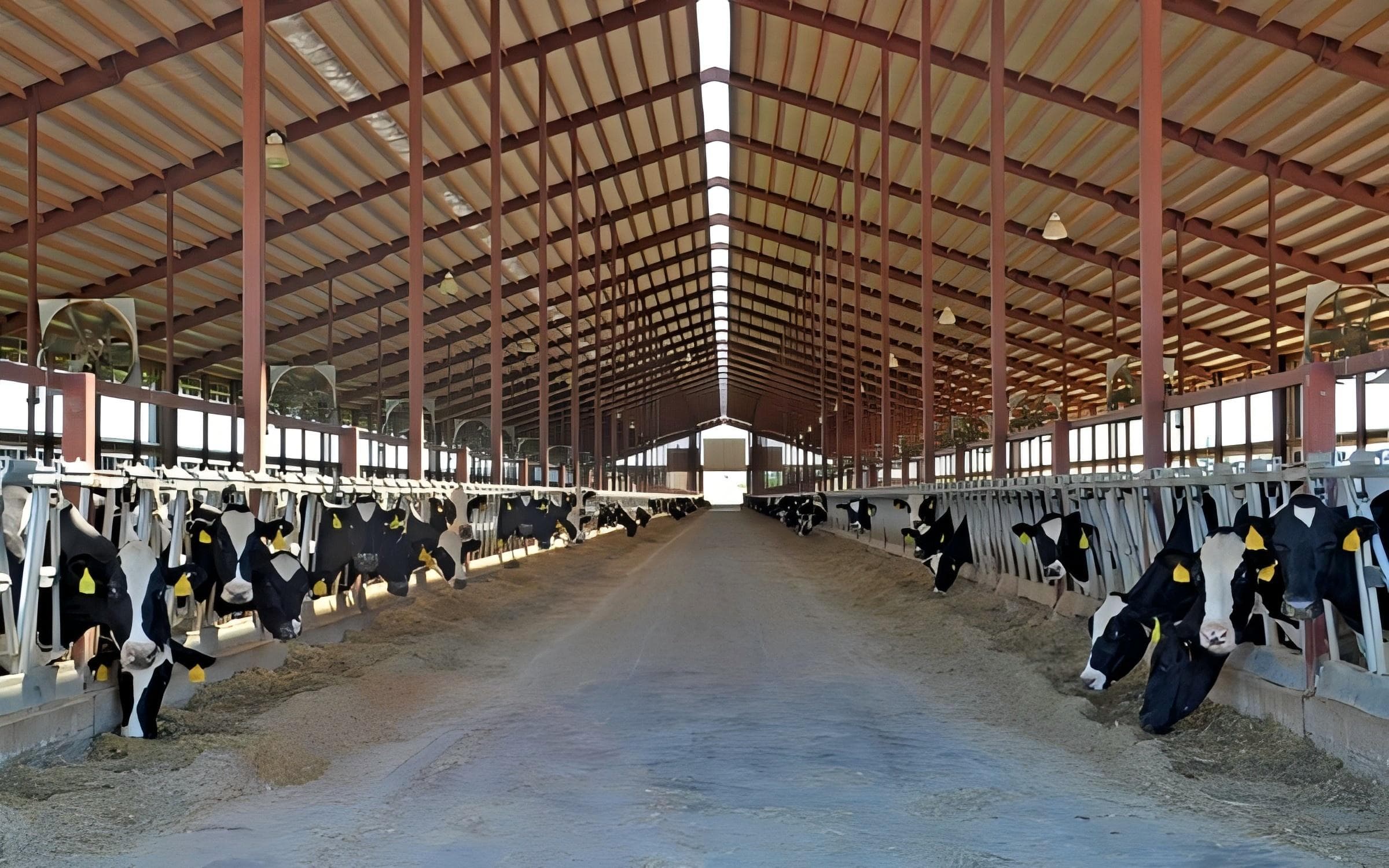 Prefab Steel Livestock Barns for Cattle, Sheep & Pigs-Strong, Ventilated & Easy to Assemble - 3