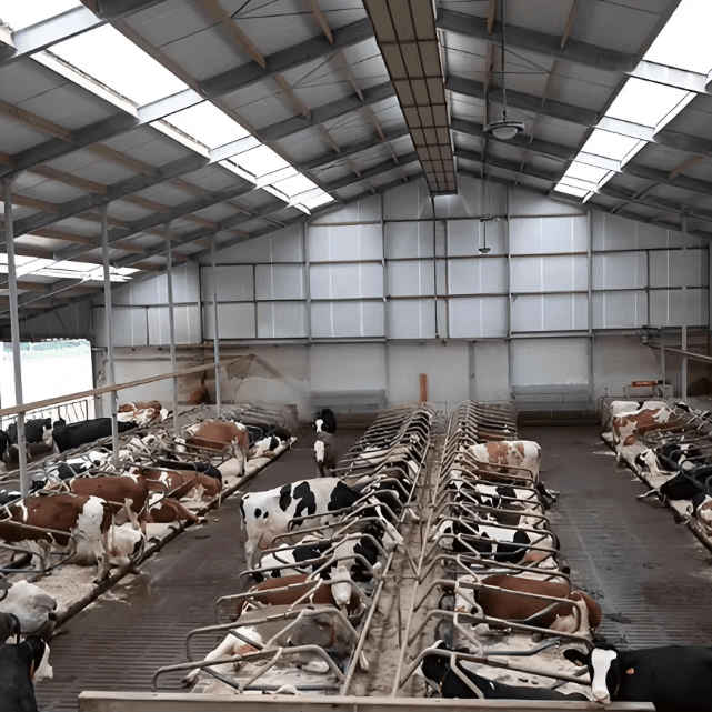 Prefab Steel Livestock Barns for Cattle, Sheep & Pigs-Strong, Ventilated & Easy to Assemble - 2