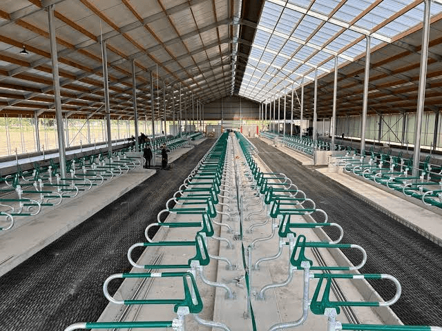 Prefab Steel Livestock Barns for Cattle, Sheep & Pigs-Strong, Ventilated & Easy to Assemble - 1